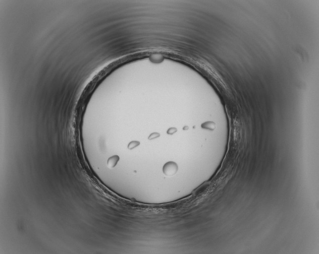 X0000113091068200909251005