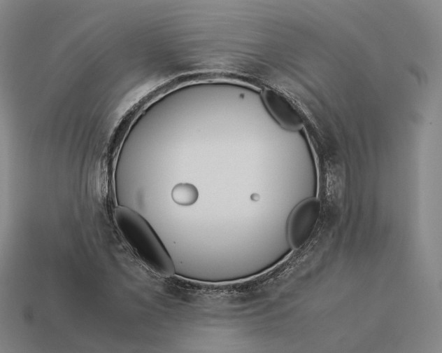 X0000113091069200909251005