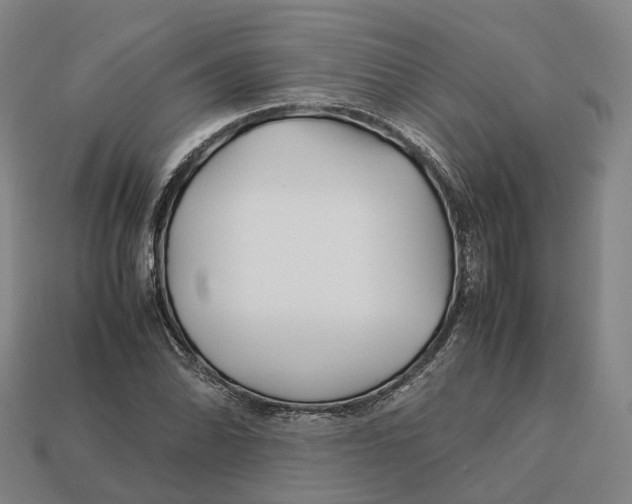 X0000113091070200909251005