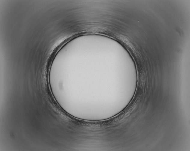 X0000113091071200909251005