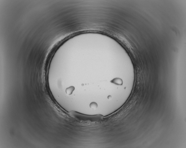 X0000113091072200909251005