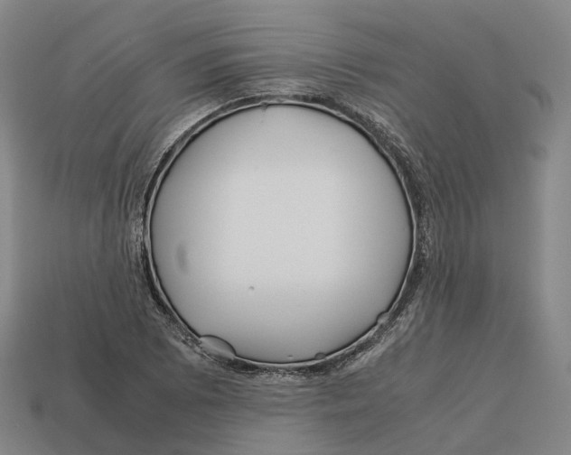 X0000113091073200909251005