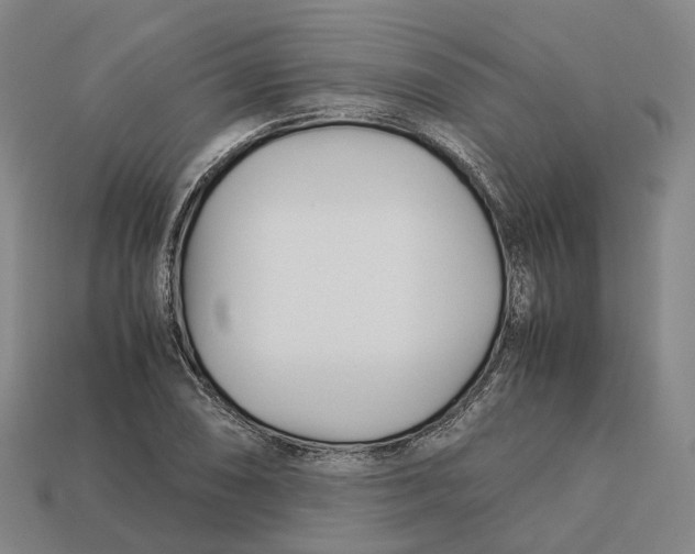 X0000113091074200909251005