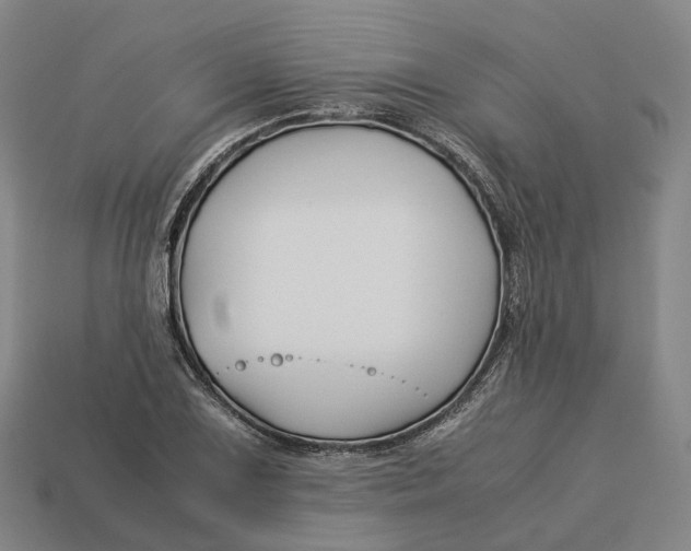 X0000113091075200909251005