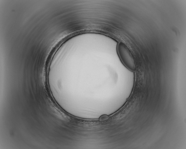 X0000113091076200909251005