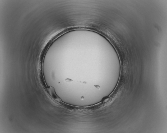 X0000113091077200909251005