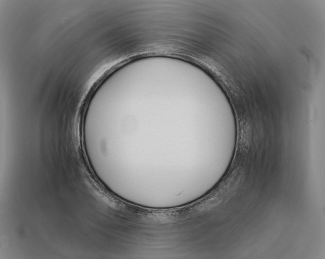 X0000113091078200909251005