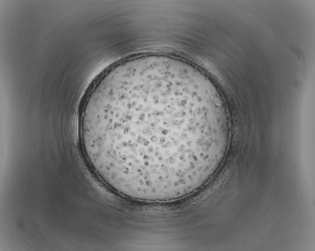X0000113091079200909251005