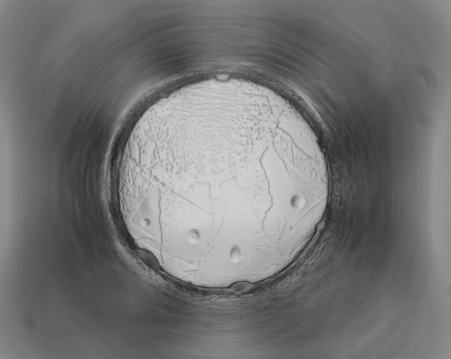 X0000113091080200909251005