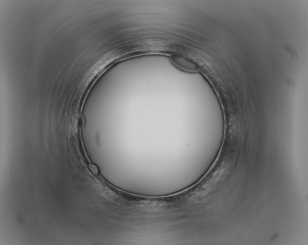 X0000113091081200909251005