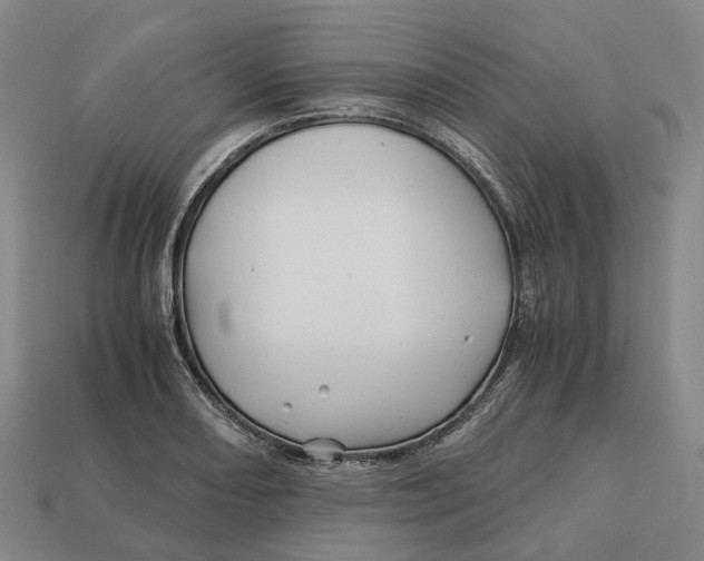 X0000113091082200909251005