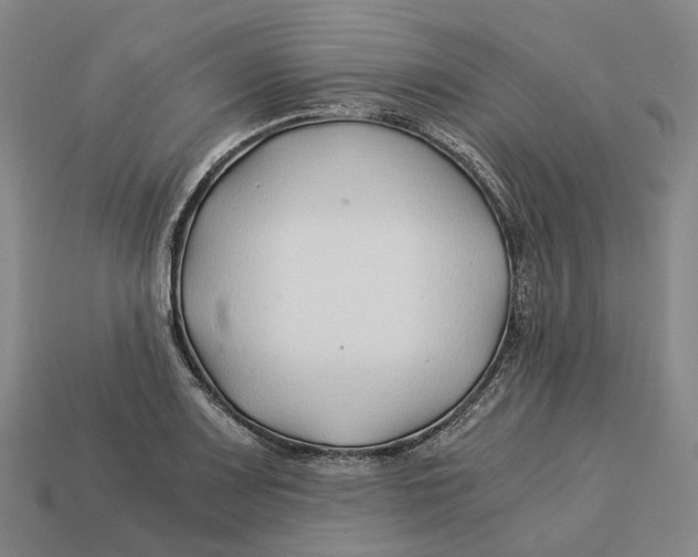 X0000113091083200909251005