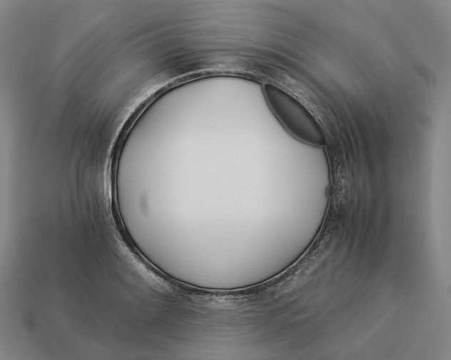 X0000113091084200909251005