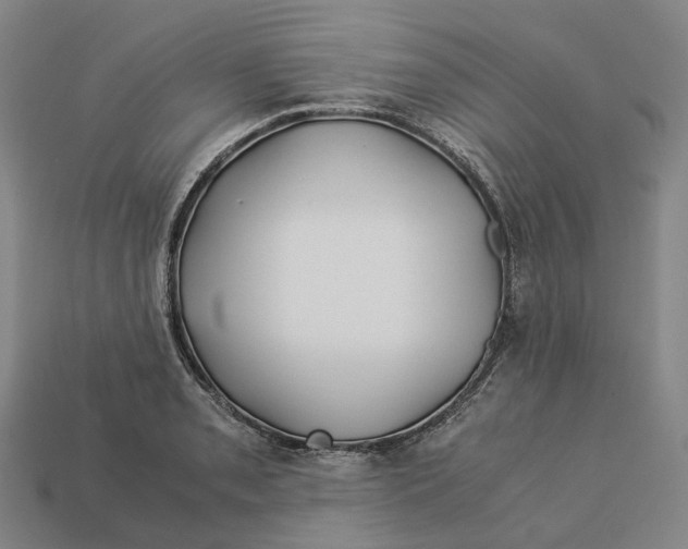 X0000113091085200909251005