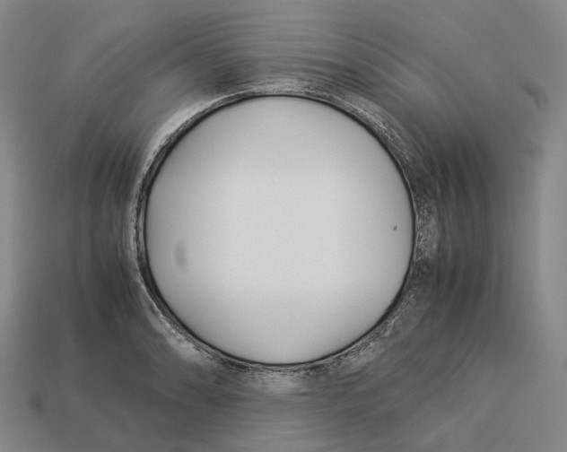 X0000113091086200909251005