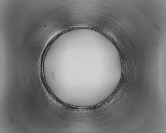 X0000113091087200909251005