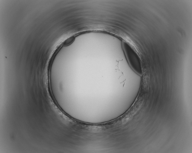 X0000113091088200909251005