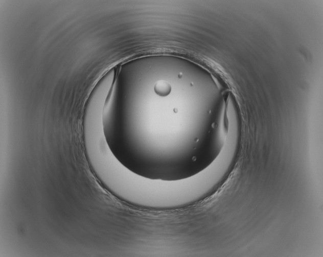 X0000113091089200909251005