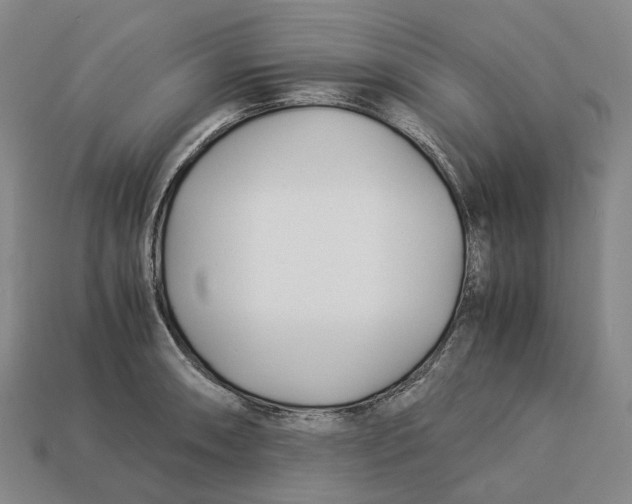 X0000113091090200909251005