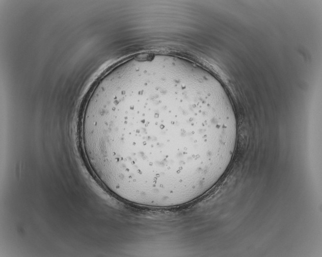 X0000113091091200909251005