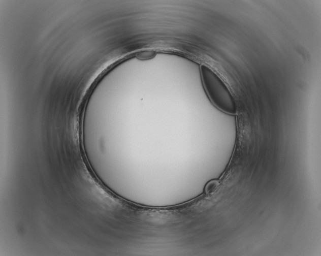 X0000113091092200909251005