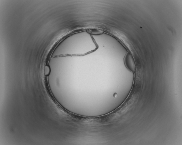 X0000113091093200909251005