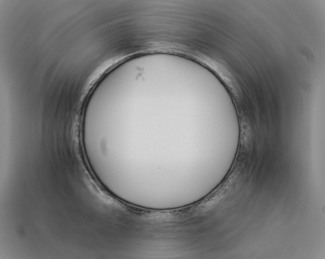 X0000113091094200909251005