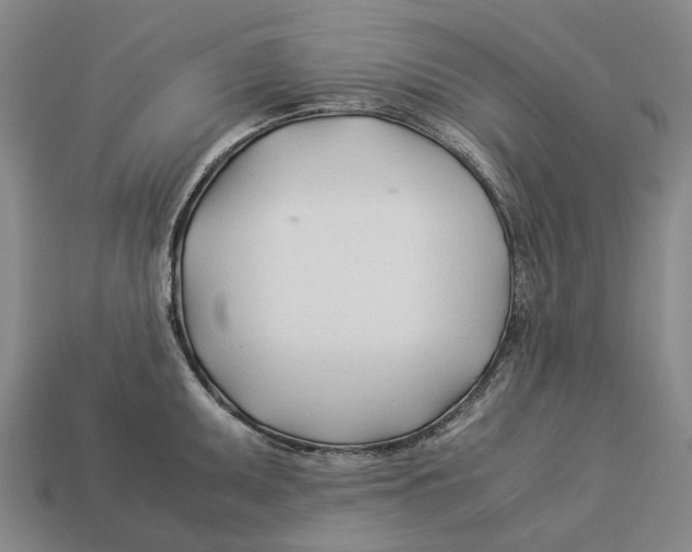 X0000113091095200909251005