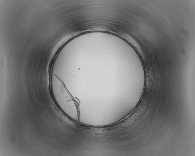 X0000113091096200909251005