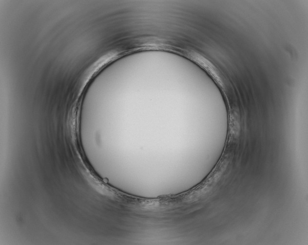 X0000113091098200909251005