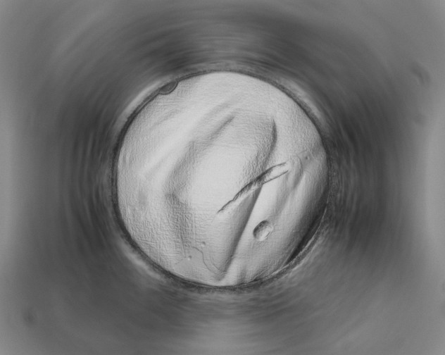 X0000113091100200909251005