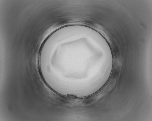 X0000113091101200909251005