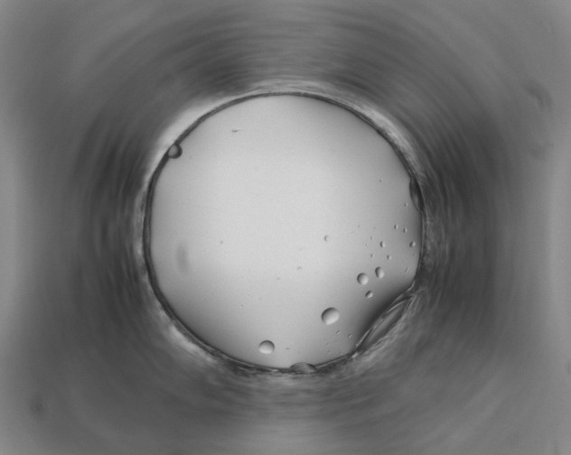 X0000113091102200909251005