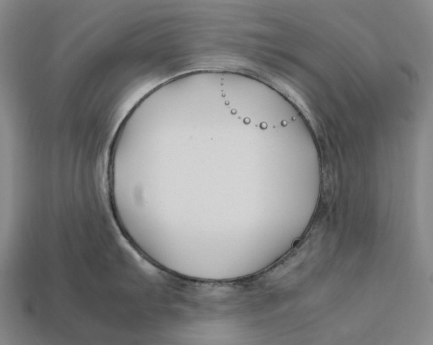 X0000113091103200909251005