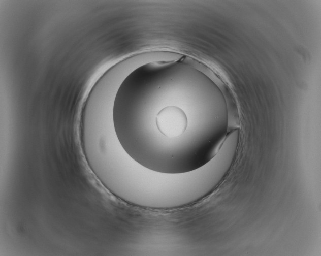 X0000113091104200909251005