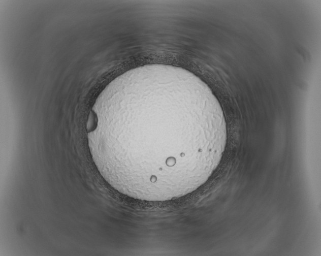 X0000113091105200909251004