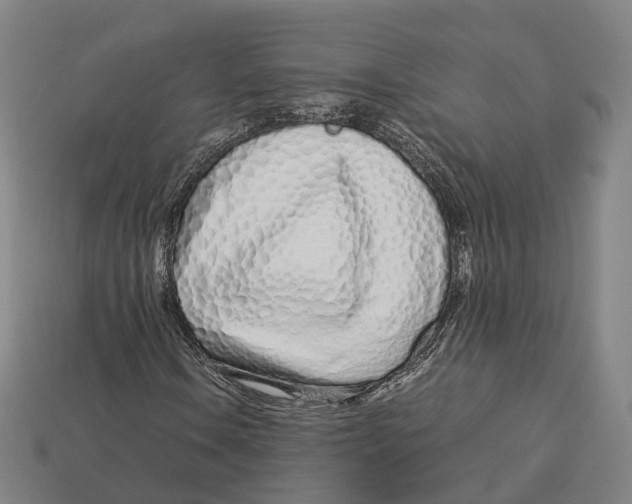 X0000113091106200909251004