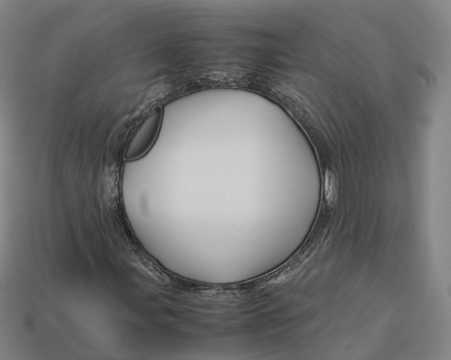 X0000113091107200909251004