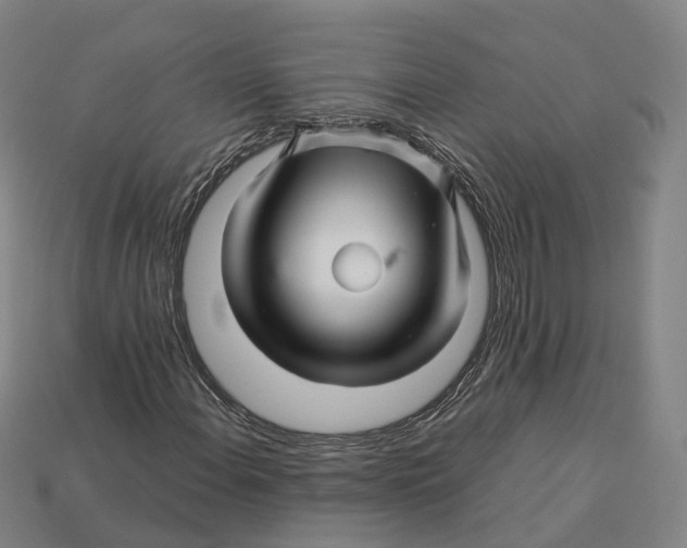 X0000113091108200909251004