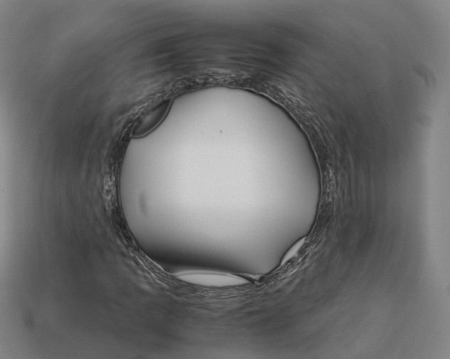 X0000113091109200909251004