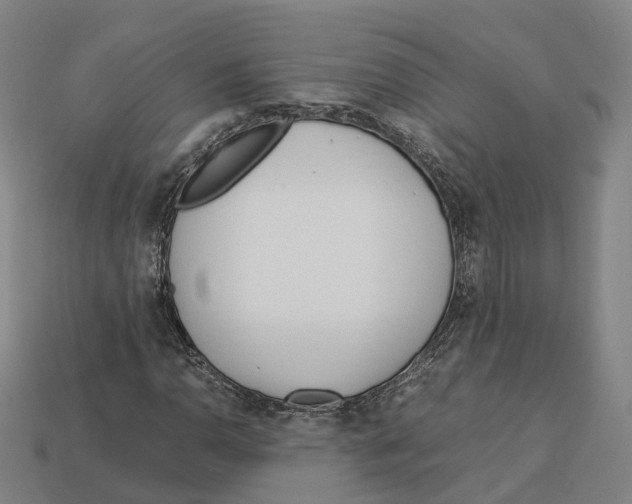 X0000113091110200909251004