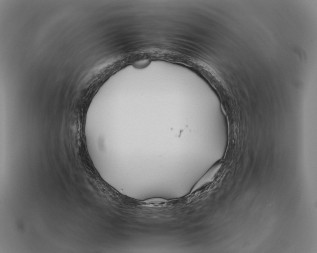 X0000113091111200909251004