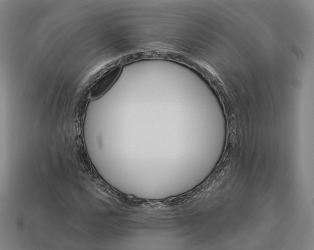 X0000113091112200909251004