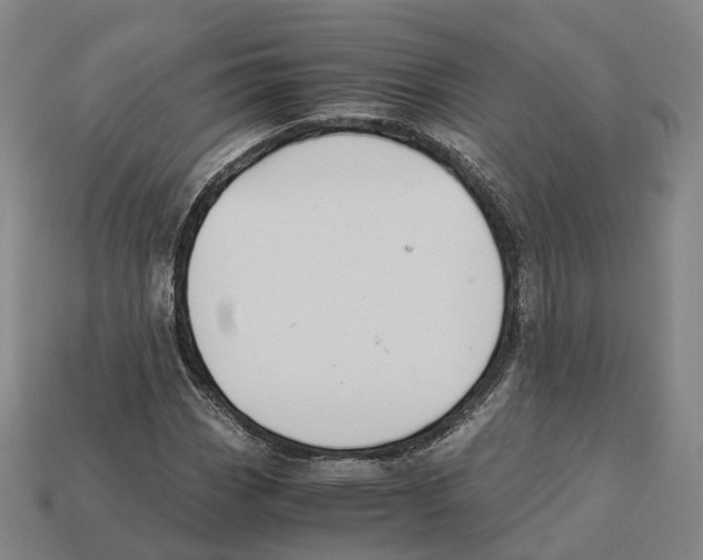 X0000113091113200909251004