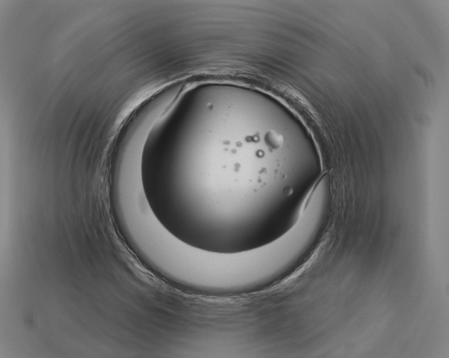 X0000113091114200909251004