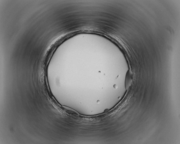 X0000113091115200909251004