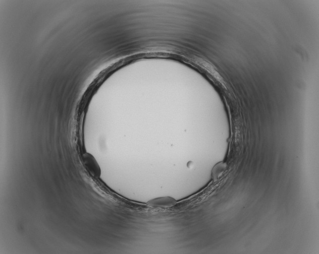 X0000113091116200909251004