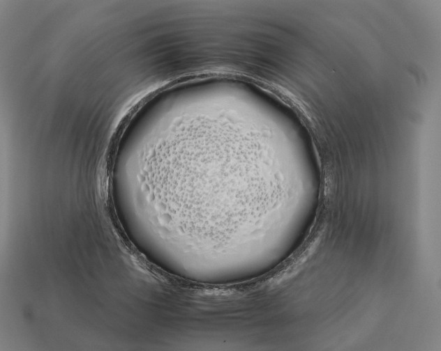 X0000113091117200909251004