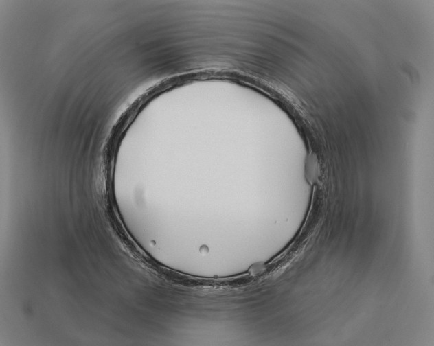 X0000113091118200909251004