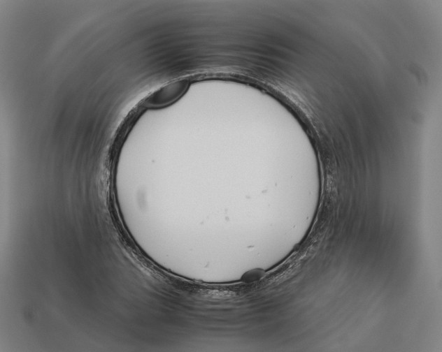 X0000113091119200909251004